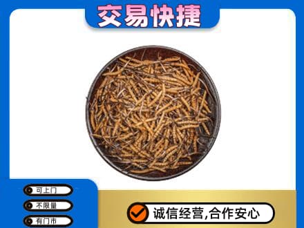 三亚礼品回收虫草.jpg